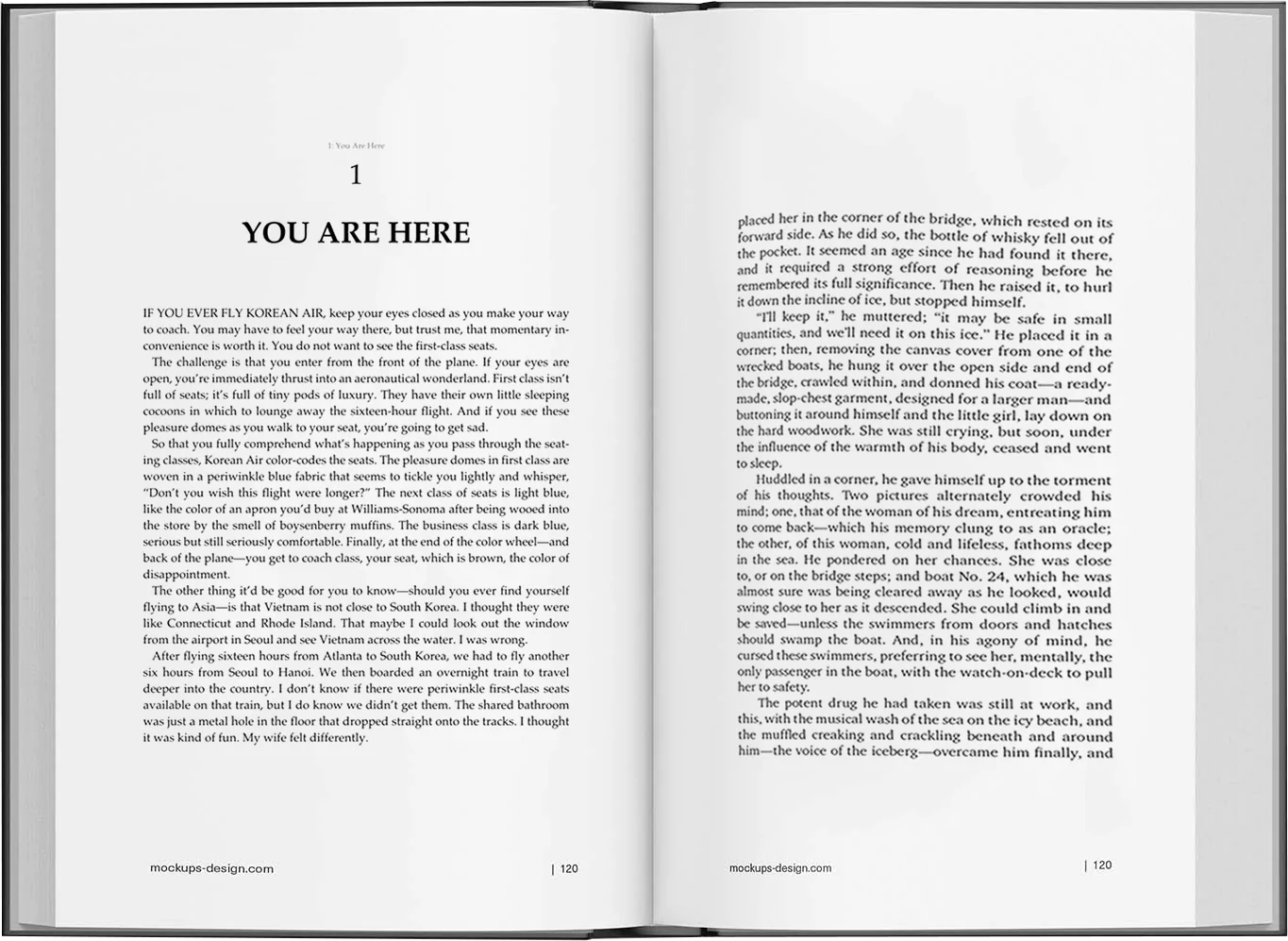 Scribe Ghost book Writers